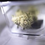 Le cannabis comporte un risque moins élevé pour la santé que les drogues dures (Photo symbolique).
